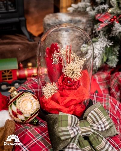 Cloche en verre avec roses rouges et décorations de Noël.